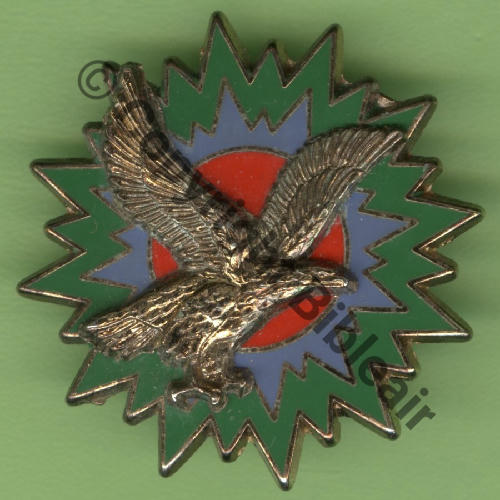 A1041 EM 1erRA & FATAC METZ  DrP Griffes et butees Dos granuleux irreg Strie 37mm AIGLE DORE Src.Y.GENTY 